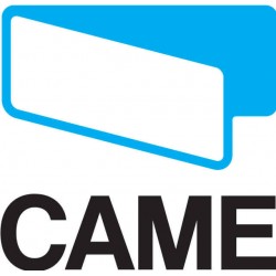 CAME 002ZL80 Блок управления