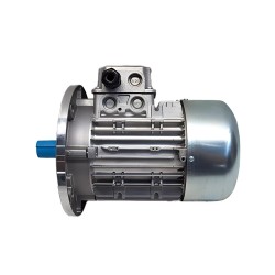 119RIY070 Двигатель BY-3500T CAME