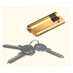 CL50/9 DOORHAN Цилиндр