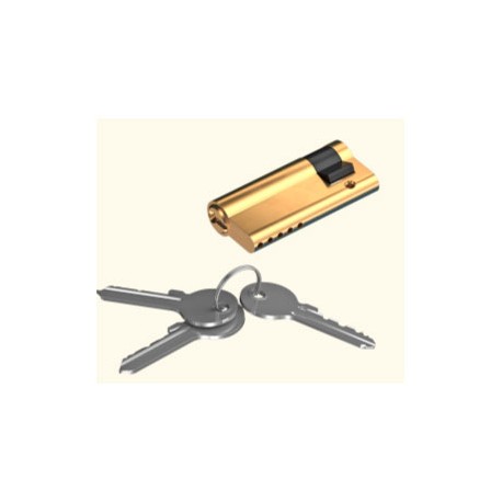 CL50/9 DOORHAN Цилиндр