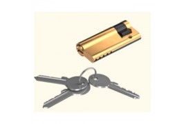 CL50/9 DOORHAN Цилиндр 50/9